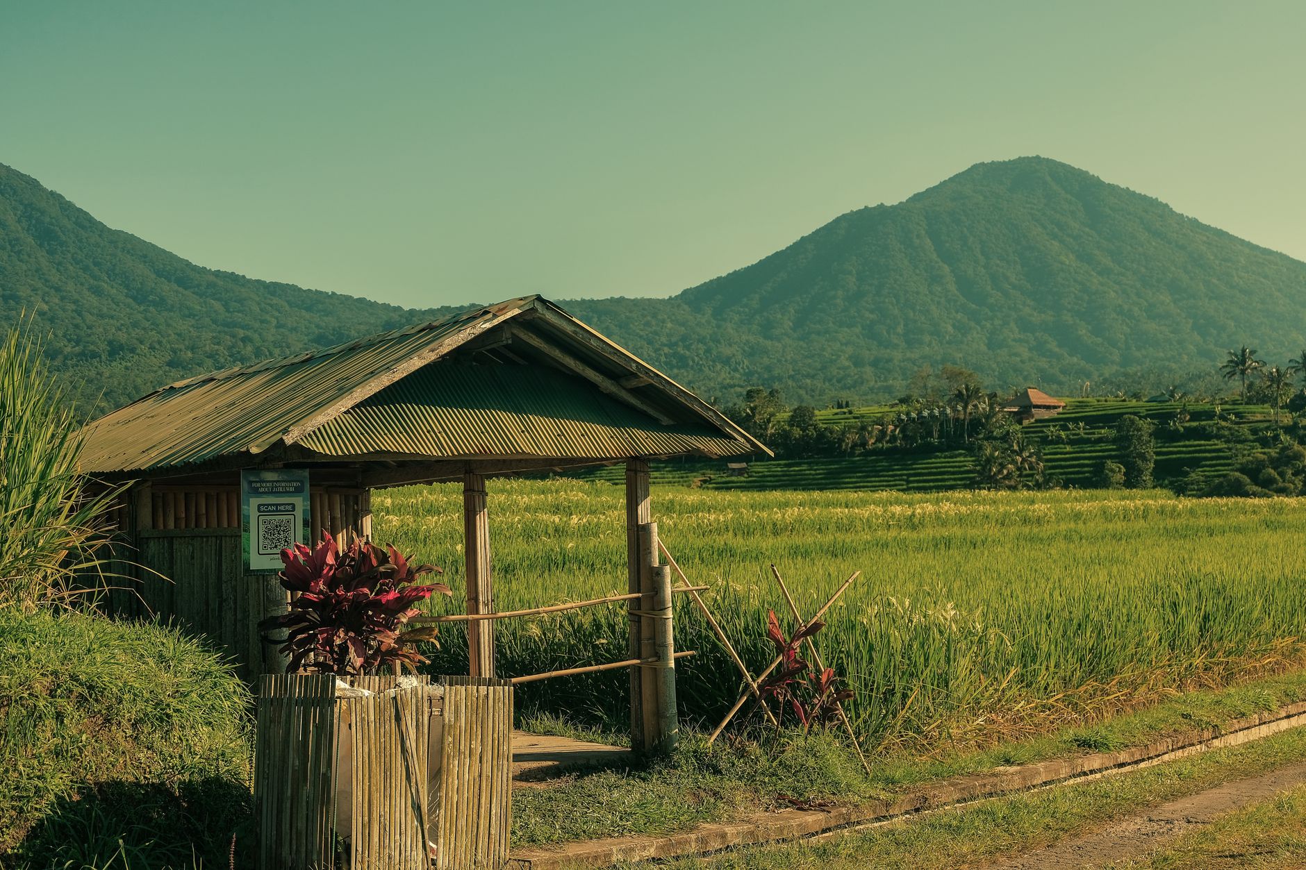 Where Real Opportunity Lives: Bali's Rural Investment Renaissance