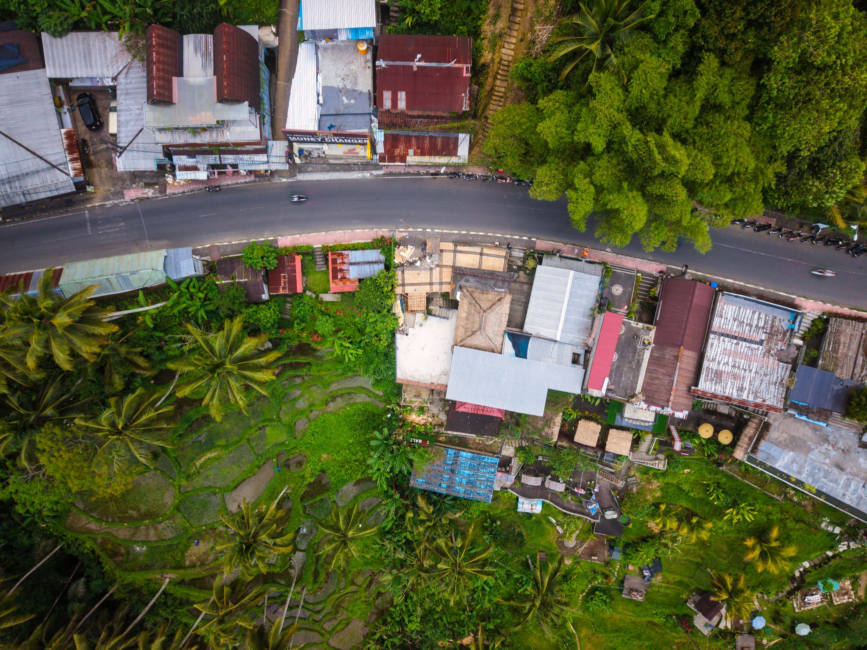 Leasehold vs Freehold in Bali: Choosing the Structure That Fits Your Investment