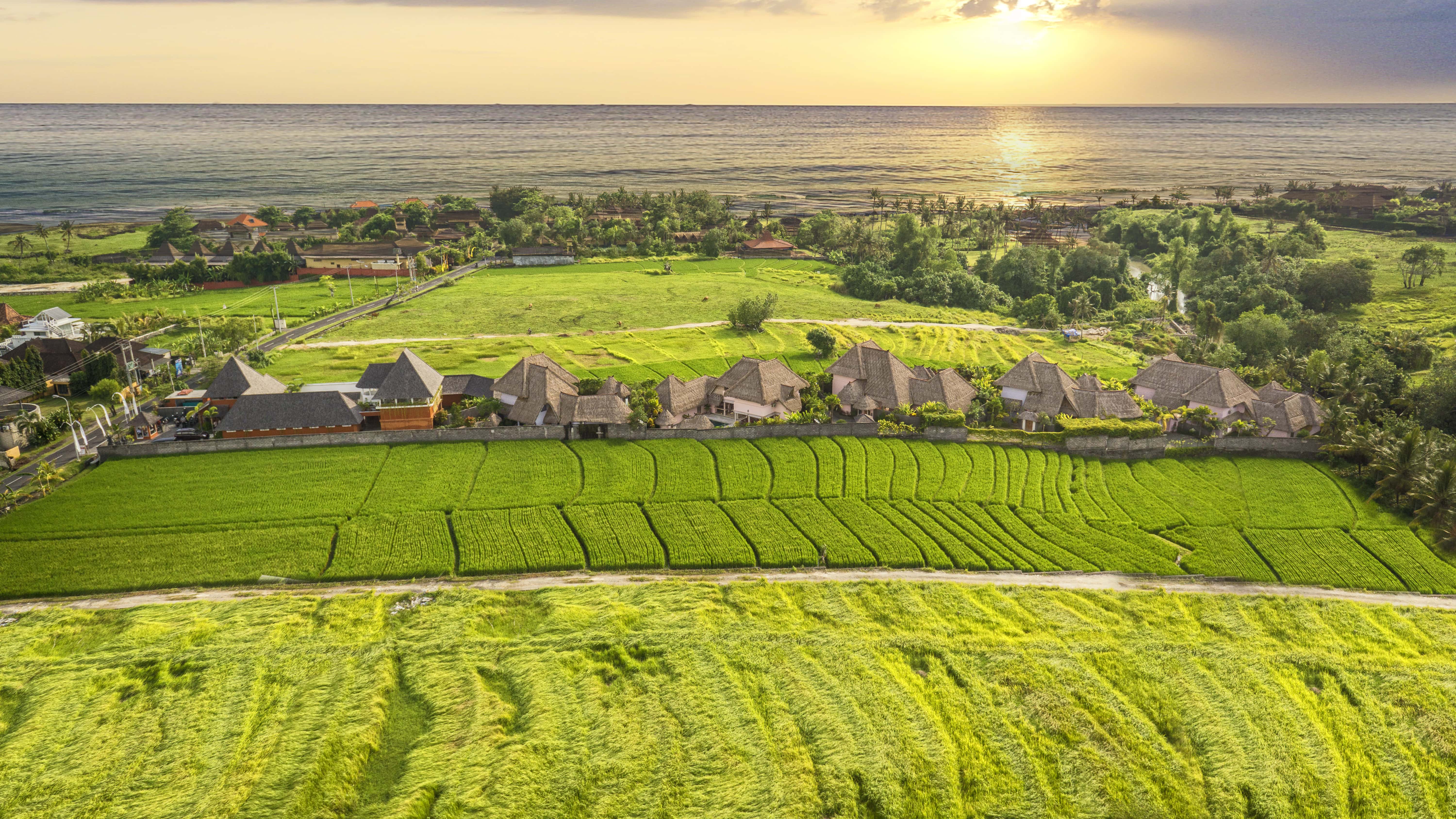 Pererenan: The Neighborhood That Absorbed Canggu's Overflow and Kept Its Character