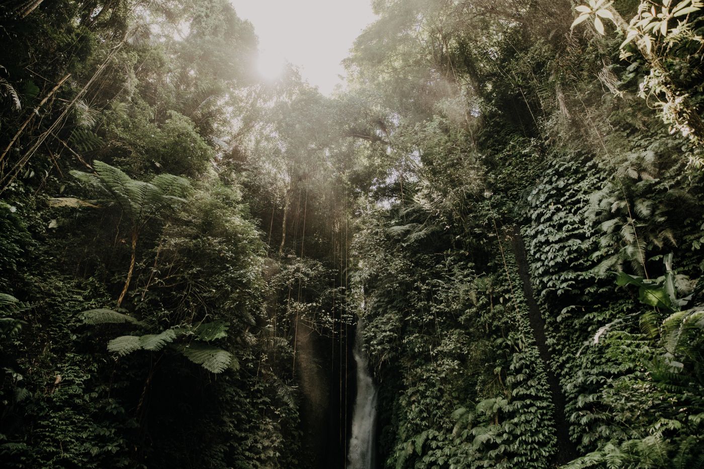 Tourism & Experiences